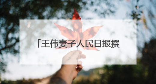 王伟妻子人民日报撰文：81192，一架永不停航的战机