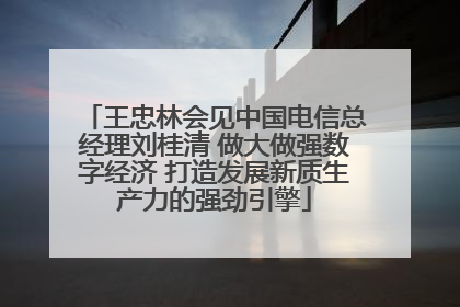 王忠林会见中国电信总经理刘桂清 做大做强数字经济 打造发展新质生产力的强劲引擎