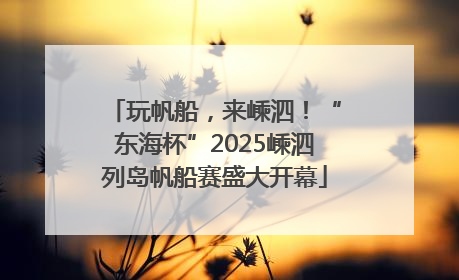 玩帆船，来嵊泗！“东海杯”2025嵊泗列岛帆船赛盛大开幕