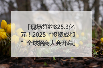 现场签约825.3亿元！2025“投资成都”全球招商大会开幕