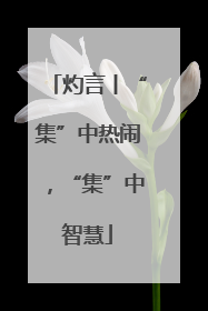灼言丨“集”中热闹，“集”中智慧