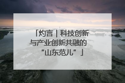 灼言｜科技创新与产业创新共融的“山东范儿”