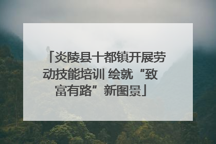 炎陵县十都镇开展劳动技能培训 绘就“致富有路”新图景