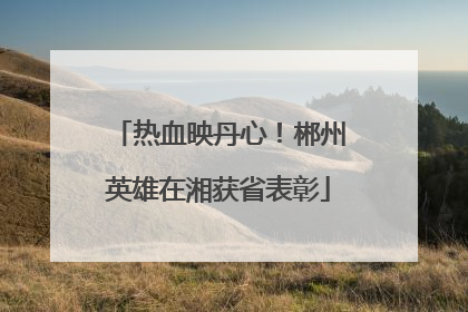 热血映丹心！郴州英雄在湘获省表彰