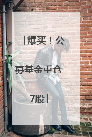 爆买！公募基金重仓7股