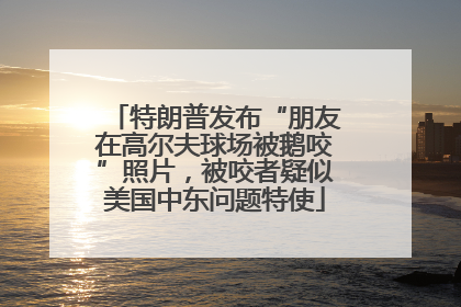 特朗普发布“朋友在高尔夫球场被鹅咬”照片，被咬者疑似美国中东问题特使