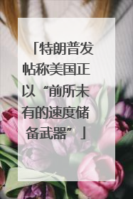 特朗普发帖称美国正以“前所未有的速度储备武器”