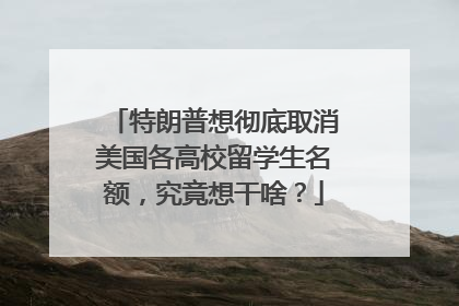 特朗普想彻底取消美国各高校留学生名额，究竟想干啥？