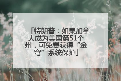 特朗普：如果加拿大成为美国第51个州，可免费获得“金穹”系统保护