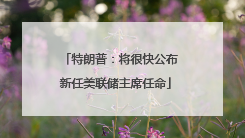 特朗普：将很快公布新任美联储主席任命