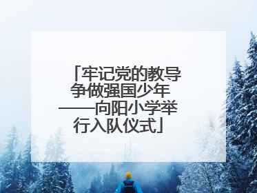 牢记党的教导 争做强国少年——向阳小学举行入队仪式