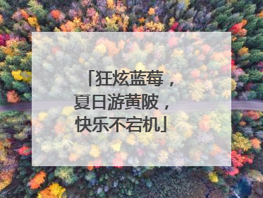 狂炫蓝莓，夏日游黄陂，快乐不宕机