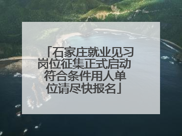 石家庄就业见习岗位征集正式启动 符合条件用人单位请尽快报名