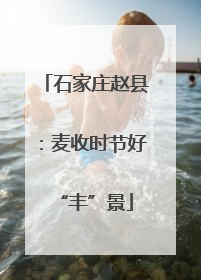 石家庄赵县：麦收时节好“丰”景