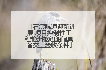 石澧航道迎新进展 项目控制性工程艳洲枢纽船闸具备交工验收条件