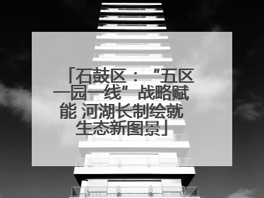 石鼓区：“五区一园一线”战略赋能 河湖长制绘就生态新图景
