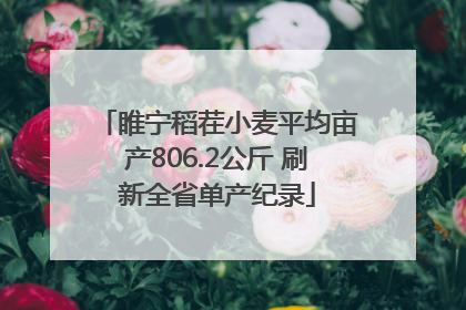 睢宁稻茬小麦平均亩产806.2公斤 刷新全省单产纪录