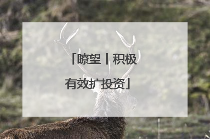 瞭望丨积极有效扩投资