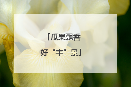 瓜果飘香 好“丰”景