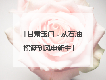 甘肃玉门：从石油摇篮到风电新生