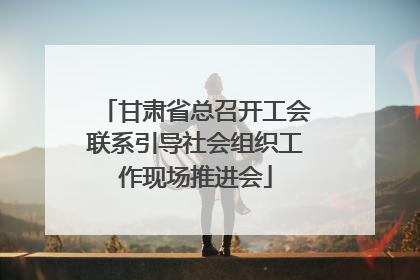甘肃省总召开工会联系引导社会组织工作现场推进会