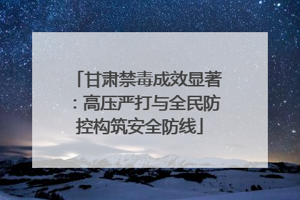 甘肃禁毒成效显著：高压严打与全民防控构筑安全防线