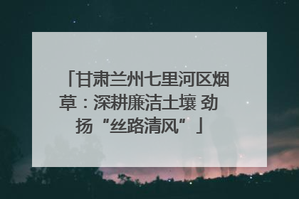 甘肃兰州七里河区烟草：深耕廉洁土壤 劲扬“丝路清风”