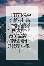 甘肃榆中：聚力打造“榆苗陇萃”四大种业育苗品牌 加速农业强县转型步伐