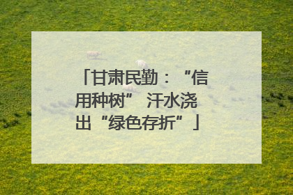 甘肃民勤：“信用种树” 汗水浇出“绿色存折”