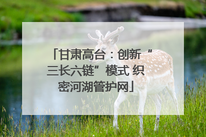 甘肃高台：创新“三长六链”模式 织密河湖管护网