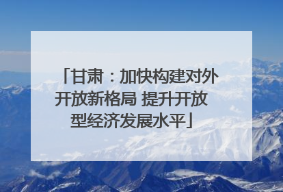 甘肃：加快构建对外开放新格局 提升开放型经济发展水平