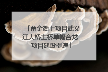 甬金衢上项目武义江大桥主桥单幅合龙 项目建设提速