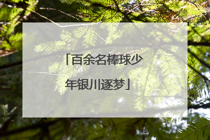 百余名棒球少年银川逐梦