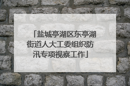 盐城亭湖区东亭湖街道人大工委组织防汛专项视察工作