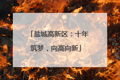盐城高新区：十年筑梦，向高向新