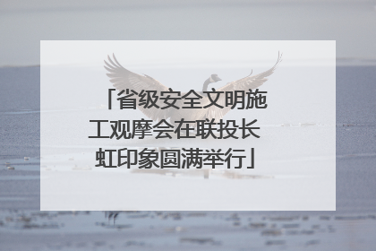 省级安全文明施工观摩会在联投长虹印象圆满举行