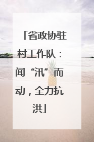 省政协驻村工作队：闻“汛”而动，全力抗洪