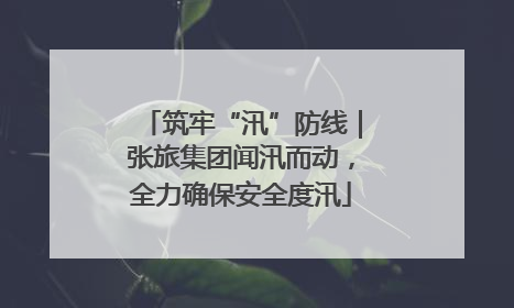 筑牢“汛”防线｜张旅集团闻汛而动，全力确保安全度汛