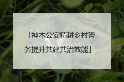 神木公安精耕乡村警务提升共建共治效能