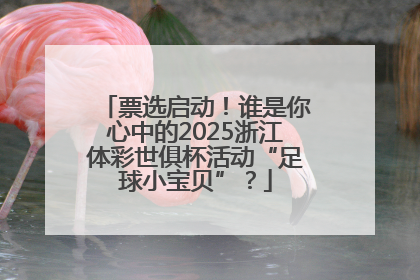 票选启动！谁是你心中的2025浙江体彩世俱杯活动“足球小宝贝”？