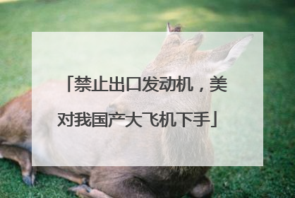 禁止出口发动机，美对我国产大飞机下手