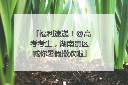 福利速递！@高考考生，湖南景区喊你暑假撒欢啦
