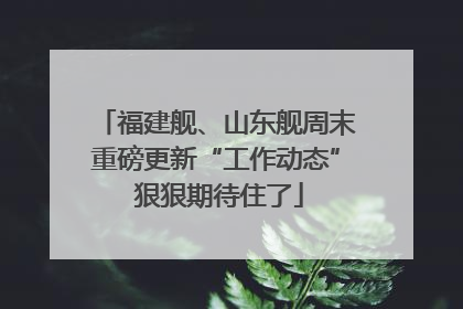 福建舰、山东舰周末重磅更新“工作动态” 狠狠期待住了