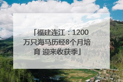 福建连江：1200万只海马历经8个月培育 迎来收获季