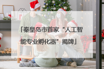 秦皇岛市首家“人工智能专业孵化器”揭牌