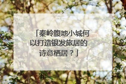 秦岭腹地小城何以打造银发旅居的诗意栖居？