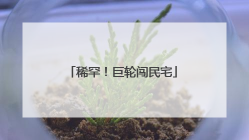 稀罕！巨轮闯民宅