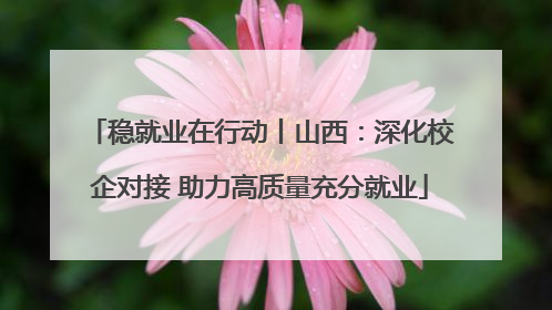 稳就业在行动丨山西：深化校企对接 助力高质量充分就业