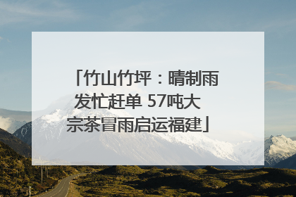 竹山竹坪：晴制雨发忙赶单 57吨大宗茶冒雨启运福建