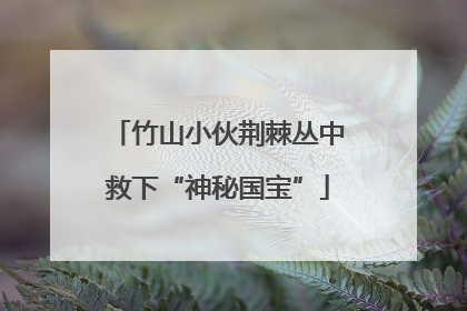 竹山小伙荆棘丛中救下“神秘国宝”